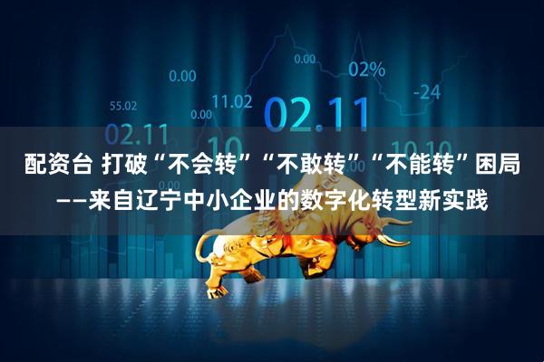 配资台 打破“不会转”“不敢转”“不能转”困局——来自辽宁中小企业的数字化转型新实践