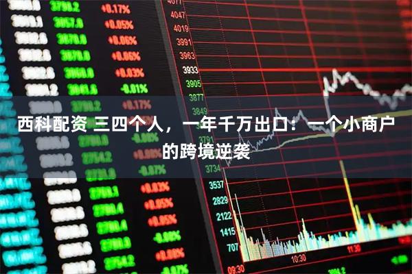 西科配资 三四个人，一年千万出口：一个小商户的跨境逆袭